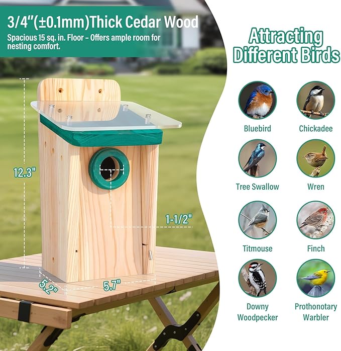 2 Pack Cedar Wood Bird Houses for Outside Hanging, Large Bird Houses for Outdoors with 2 Layers Roof, Easy DIY Outdoor Nesting Box for Adults, Nesting Boxes for Cardinals, Chickadees, Wrens