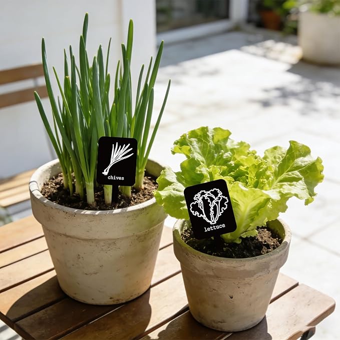 Whaline 20Pcs Acrylic Vegetable Plant Label Signs 20 Styles Garden Markers Waterproof Black Plant Stake Tags with Names for Nursery Indoor Outdoor Garden Decor