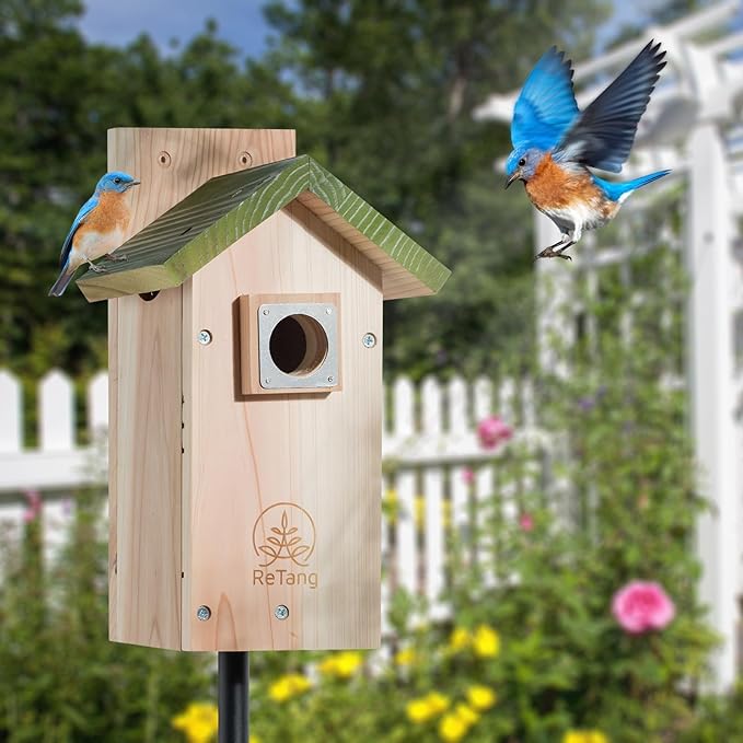 3/4 Thick Cedar Bird Houses with Metal Predator Guard, Nesting Box Birdhouse for Easy Cleaning, Bird Box for Outdoor Swith Viewing Window, Outdoor Wild Bird Watching, Swallow Wren Chickadee…