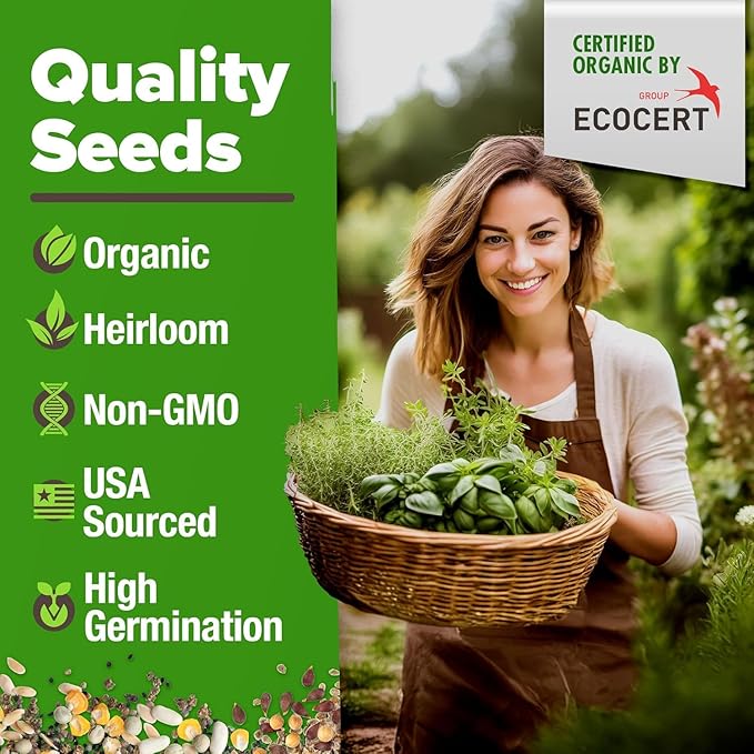 HOME GROWN Organic Herb Seeds Variety Pack - Non GMO, Heirloom 2,500+ High-Germinating Heirloom Seeds for Planting Indoor Outdoor Spring Herb Garden Hydroponics Garden Seeds, Basil Cilantro & More