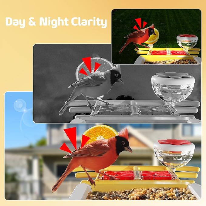 Bird Feeder with Camera 2K HD AI Smart Identify BirdSpecies Solar Panel Outdoors Birdhouse with Cam, Instant Arrival Alerts, Capture BirdVideo, Gifts for Mom Dad (Yellow)