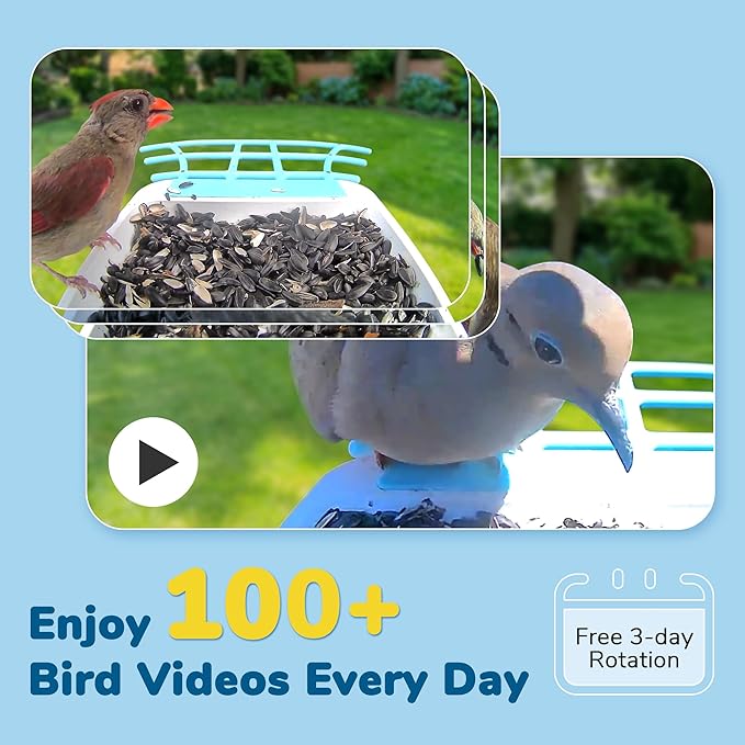 Bird Feeder with Camera, Equipped with 5000mAh Battery and Solar Panel, AI Bird Species Identification, 2K HD Video, Best Gift for BirdLovers