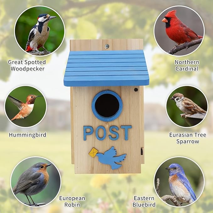 Wooden Bird Houses Bird House for Outside, Blue Wood Mailbox Bird House for Outdoors, Entrance Hole Bird House for Garden Blue Bird Hummingbird Wren Cardinal Swallow Sparrow Finch