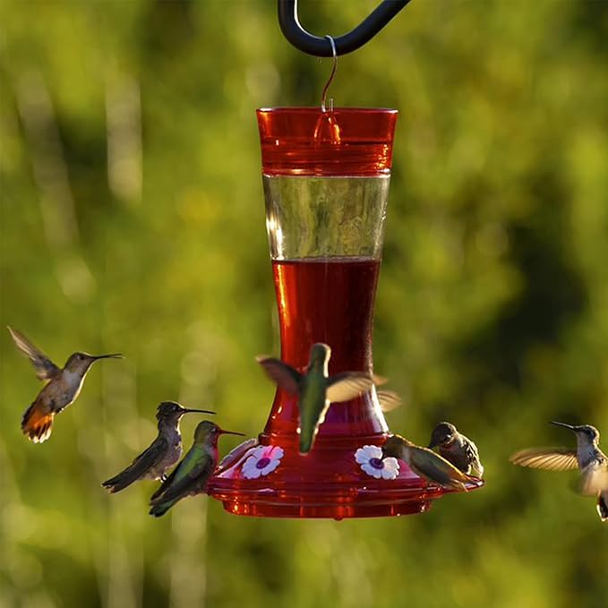 More Birds Garnet Hummingbird Feeder, Glass Bottle, 7 Feeding Ports, 20-Ounce Nectar Capacity, Beige, Model Number: 36IN