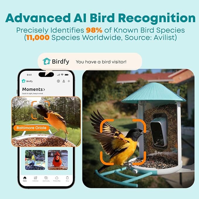 NETVUE by Birdfy Smart Bird Feeder with 2K AI Camera, Auto Capture Videos & Motion Detection, Live Steam, Wireless Wildbird Watching, Ideal Gift for Outdoor Backyard Birder(AI by Subscription)
