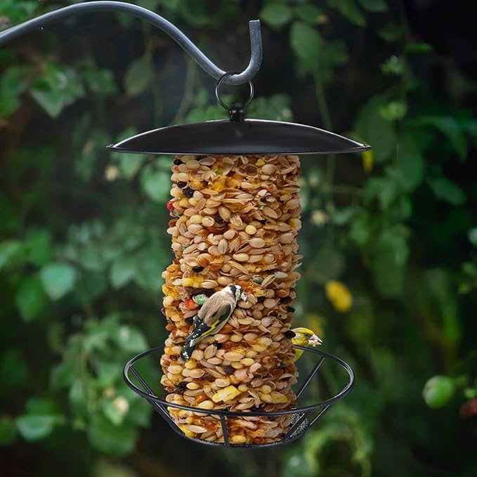 1 Pack Cylinder Bird Feeder Outdoor S-6-2 Seed Cake Feeder Metal Suet Cake Holder Backyard Wild Birdfeeding Bird Feeders for Outdoors Garden
