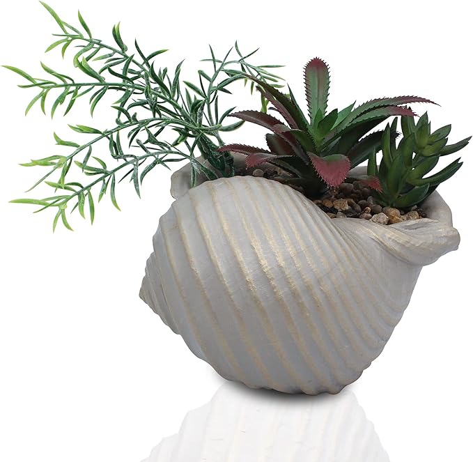 Faux Succulents in Conch Sea Shell Home Decor,Coastal Beach Decorations for Home Bathroom Ocean Seashell Decor Series for Home Beach Decor Theme Party Favors (Without Drainage Hole)