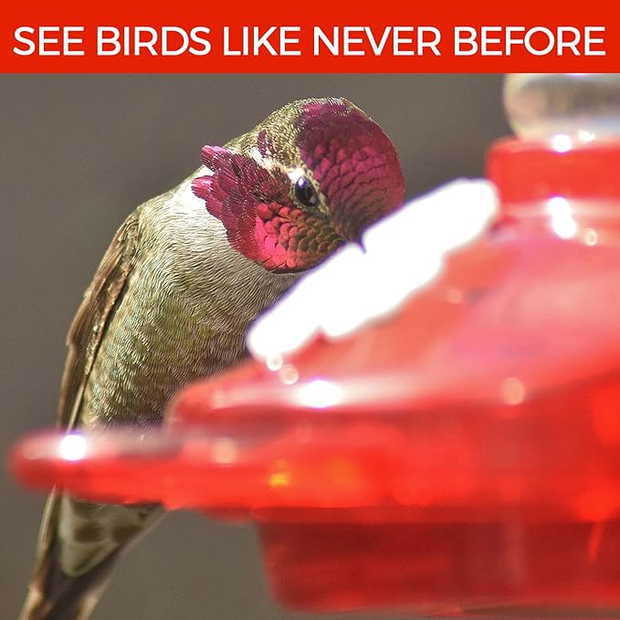 Window Hummingbird Feeders for Outdoors Including 3 Colors of Interchangeable Flowers for Hummingbirds Food and Nectar (2 Pack)