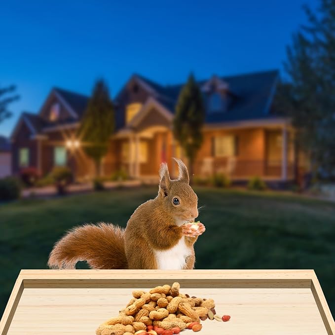 Squirrel Feeder Case for Outside, Durable Wooden Squirrel Feeder Can Install Camera(Not Camera), Funny Squirrel Houses Picnic Table, Squirrel Feeders for Outdoors Squrrill Nuts Bar