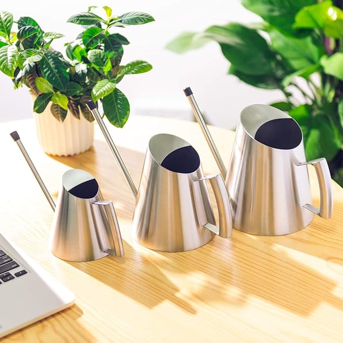 IMEEA Indoor Watering Can Stainless Steel Watering Can for Indoor Plants with Long Spout, 50oz/1.5L