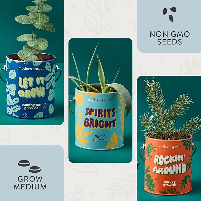 Modern Sprout Complimentary Seed Starter Grow Kits - Spruce, Eucalyptus, & Agave Seeds - Plant & Gardening Gifts that Grows with Love (Pack of 3)