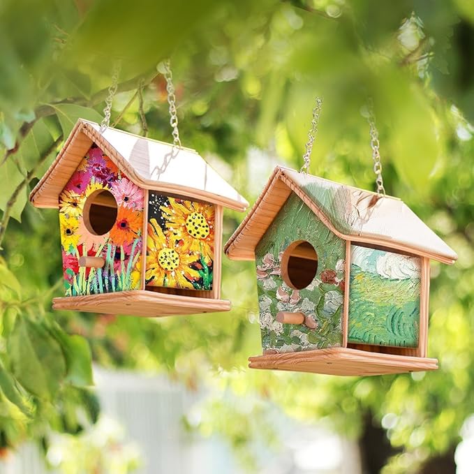 2pc DIY Birdhouse Kit, Cedar Wood Bird House Kits Bulk for Adults, Art Craft Outdoor Birdhouse, Solid Wood Weather Proof Material Painting Kit, Chain for Tree Hanging