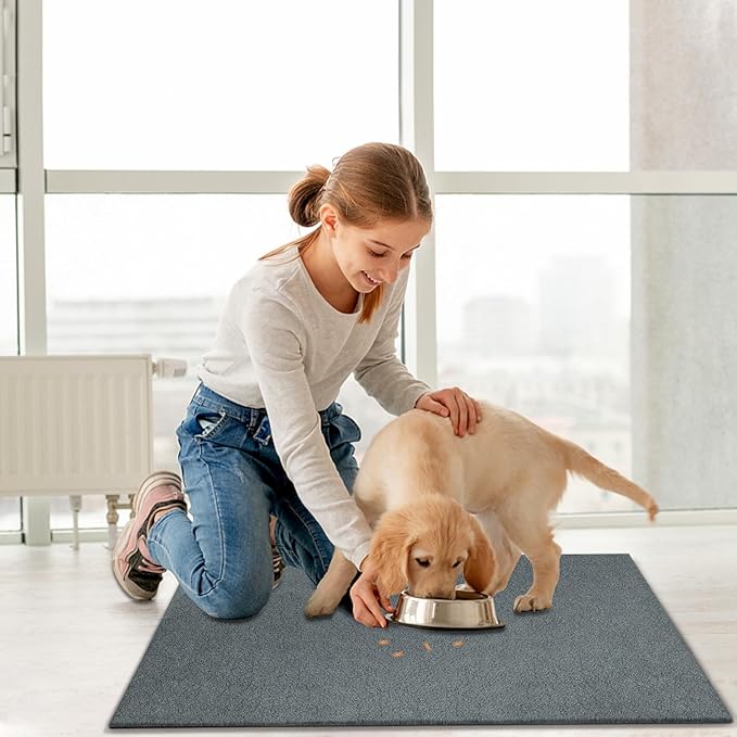 AAZZKANG Plain Doormat Set of 2 Front Door Floor Mat with Non Slip Rubber Backing,Ultra Absorb Mud Easy to Clean Ultity Mats for Home Entrance Gray Large 36"x24"