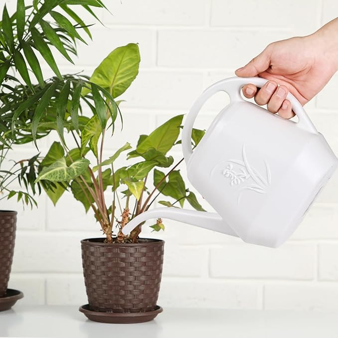 ZXJ Plant Watering Can - for Indoor and Outdoor Home Garden Plants - with Long Spout - White - 1/2 Gallon