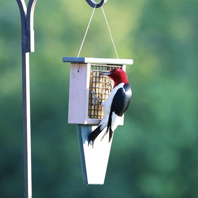 Songbird Essentials Tail Prop Suet Feeder - Recycled Plastic Bird Feeder with Coated Wire Cage for Bird Seed Cakes - Hunter and Driftwood