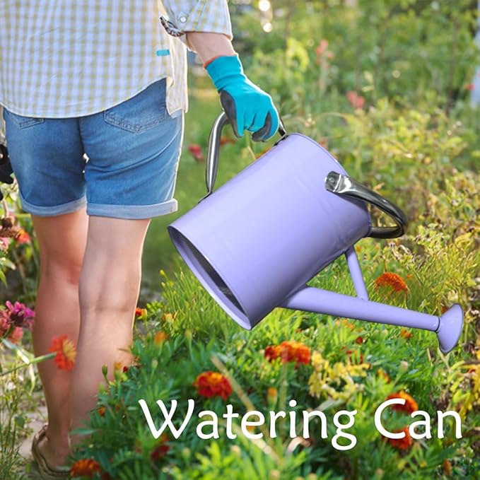 Metal Watering Can 1 Gallon with Removable Spout, Ideal Plant Watering Can for Indoor and Outdoor Plants (1 Gallon Purple)