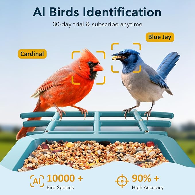 PeckCam® Bird Feeder with Camera Solar Powered, AI Identify & Auto Capture with 32GB Card, 2K HD Live Video Smart Bird Feeder Camera Instant Notifications in Backyard, Gift for Bird Lovers
