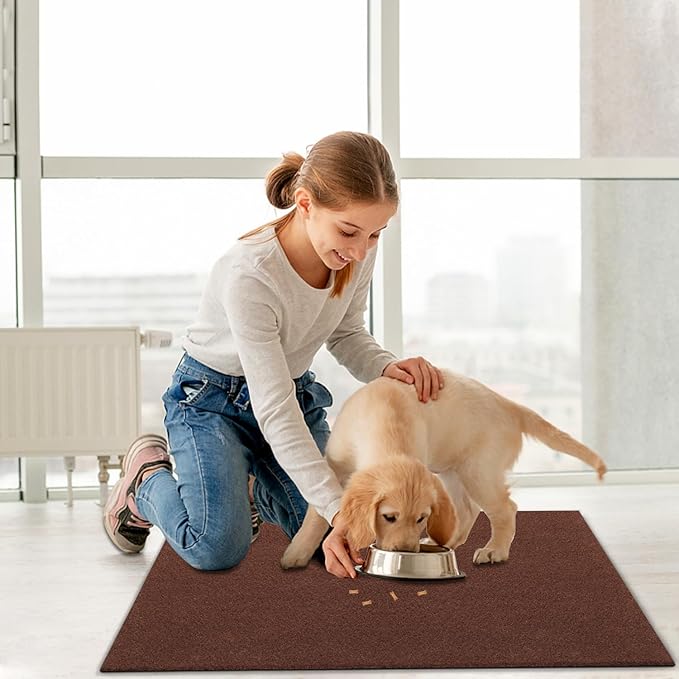 AAZZKANG Blank Doormat Outdoor Entrance Non Slip Front Door Mat 2-Pack Ultra Absorb Mud Easy to Clean Multi-Purpose Carpet for Patio,Garden,Home Large 36"x24"