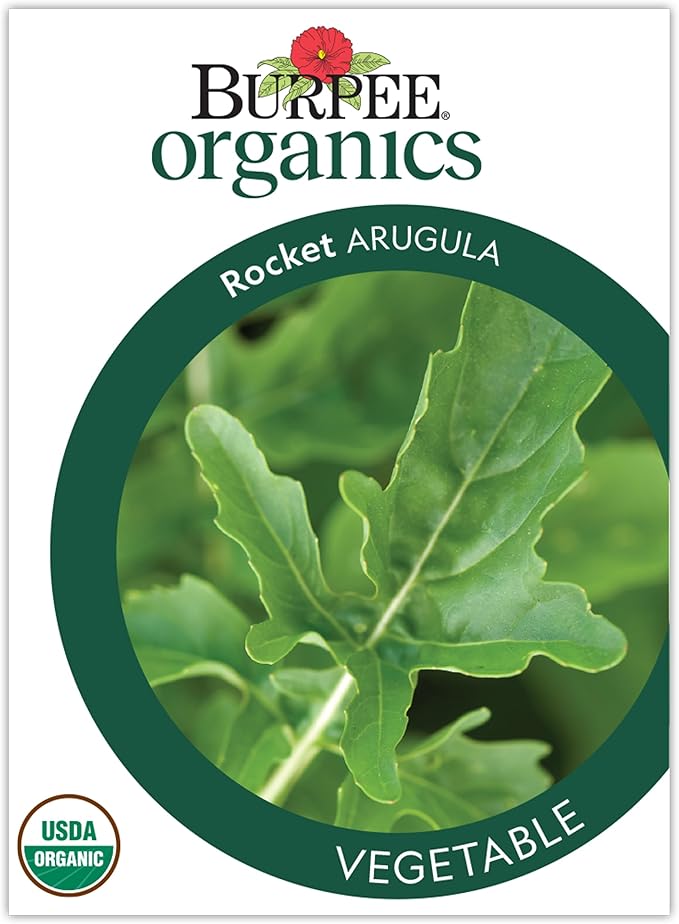 Burpee Organic Rocket Arugula Seeds - Certified Peppery Salad Greens