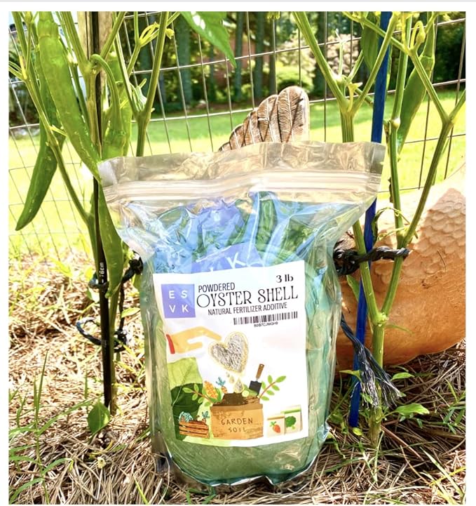 Natural Ground Powder Oyster Shell - 3 Pound (Pack of 1) | Calcium Supplement for Plants, Gardening, and Soil| Made in USA (3 lb)
