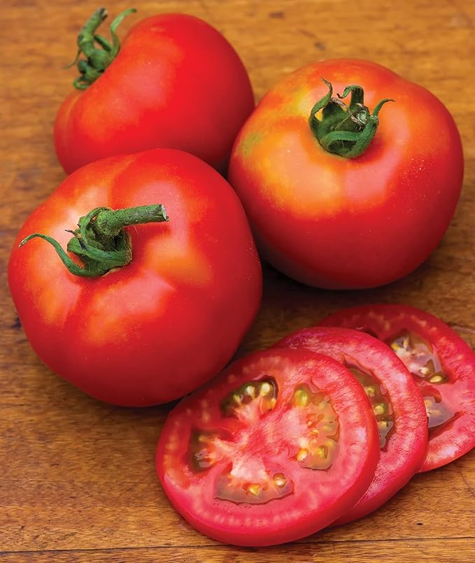 Burpee 'Early Girl',Slicing Tomato, 50 Non-GMO Seeds