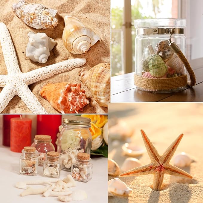 Fangoo 1.5 LB Mixed Sea Shells, 130+ PCS Beach Seashells Starfish Oyster Shells Various Sizes Ocean Seashells for Fish Tank Vase Fillers Beach Theme Party Wedding Decor DIY Crafts Home Decorations