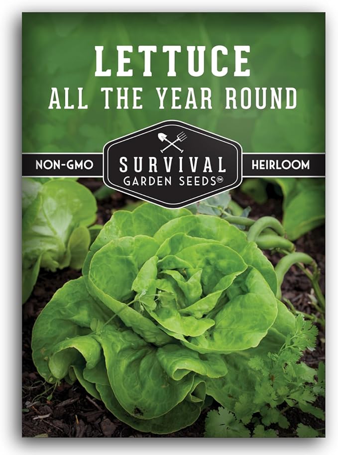 All The Year Round Lettuce Seeds for Planting – Slow-Bolting Butterhead Variety for Cool and Moderate Climates – Reliable Year-Round Harvest – Heirloom Non-GMO – Survival Garden Seeds (1 Pack)