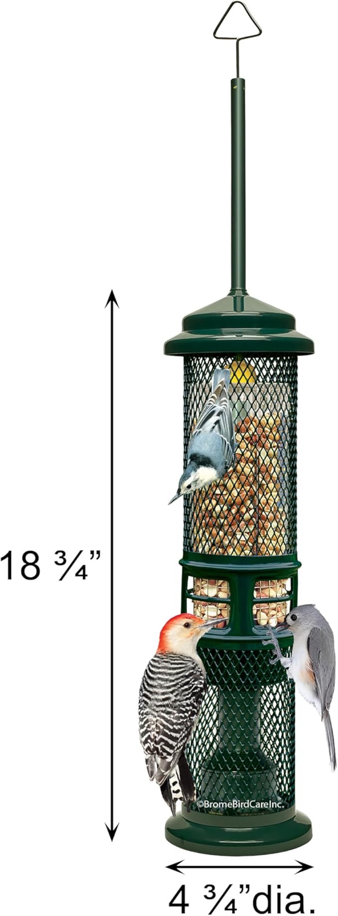 Squirrel Buster Nut Feeder Squirrel-Proof Bird Feeder for Nuts and Fruit, Two Meshes