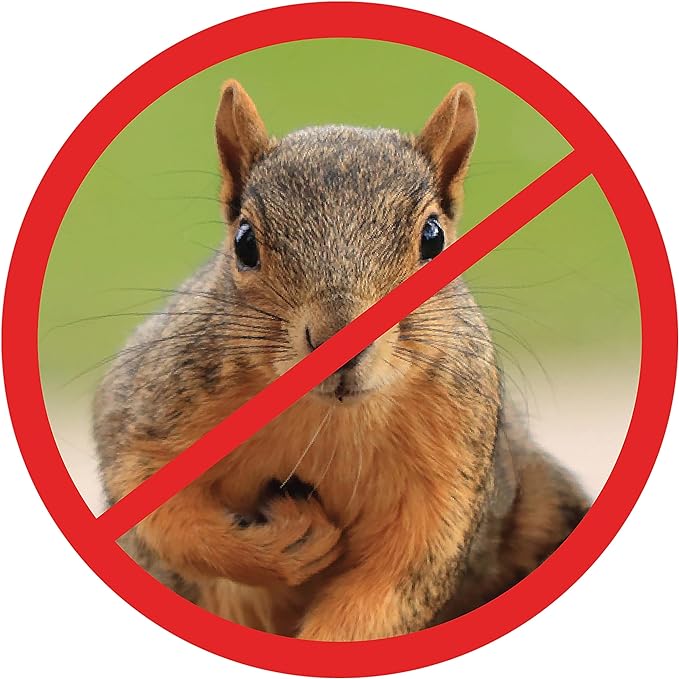 Scram,Squirrel by Slinky,Squirrel-Proof Bird Feeder Accessory That Guards Bird Seed,Kids Toys for Ages 5 Up by Just Play,(Pack of 2)