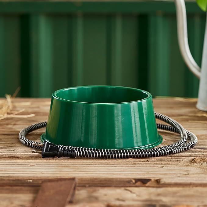 Farm Innovators QT-1 1 Quart Electric Heated Pet Water Bowl with Thermostatic Control and Anti Chew Cord Protector, 25 Watt, Green (2 Pack)