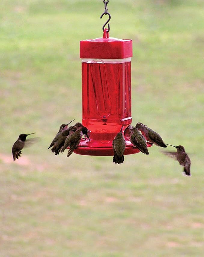 First Nature 32-Ounce Hummingbird Feeder with 10 Feeding Ports - Wide-Mouth Reservoir and Leakproof Sealing Ring - Red