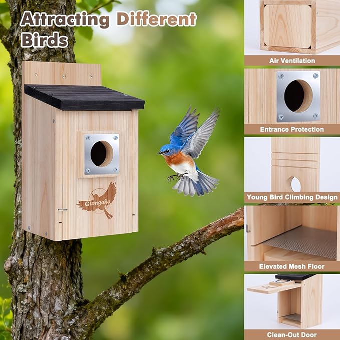Gtongoko 2 Pack Bird Houses for Outside Clearance with Metal Predator Guard Blue Birdhouses for Outdoors Nesting Box for Cardinals Swallows Finches Chickadee Assembly Required