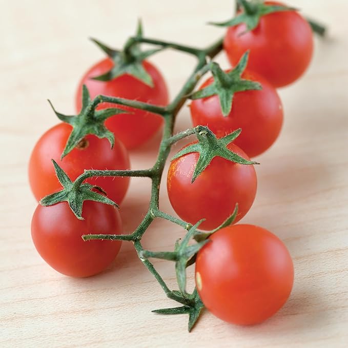 Burpee 'Red Currant' Heirloom Tomato Seeds - Non-GMO, Indeterminate, Heirloom, Cherry Tomato, 60mg Seed Packet for Home Gardening