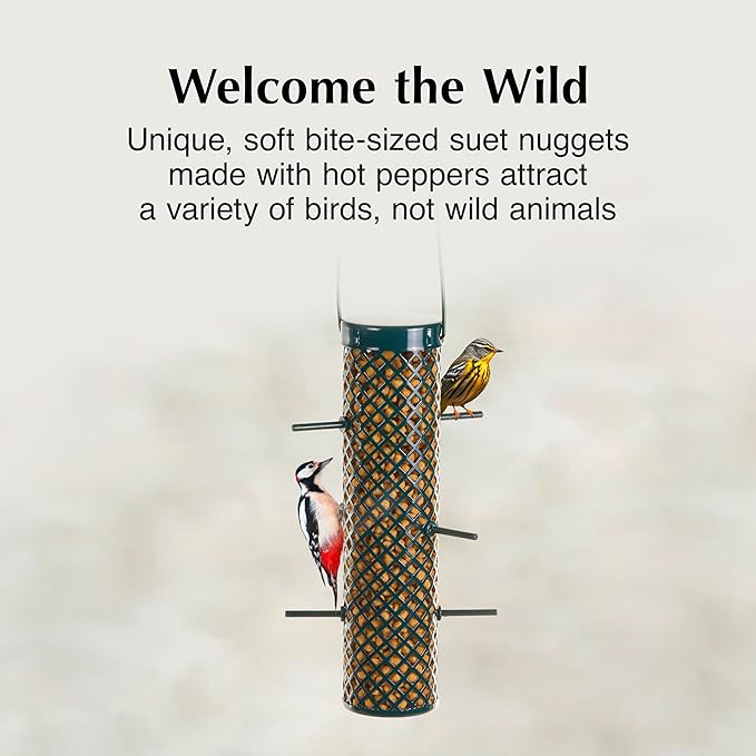 C&S Hot Pepper Suet Nuggets, Outdoor Wild Bird Food for Woodpeckers, Chickadees, Cardinals, Nuthatches and More, 27 Ounces