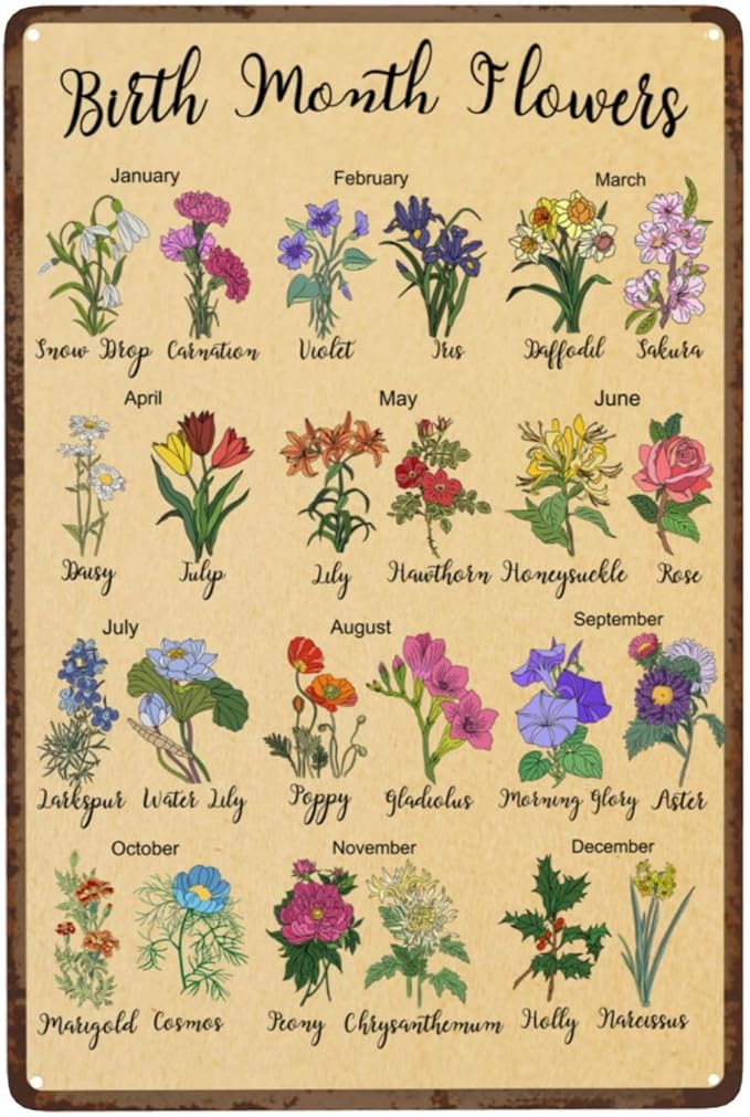 Birth Month Flower Garden Gifts Vintage Metal Tin Sign Retro Rustproof Funny Art Wall Decor Gift for Home Greenhouse Living Room Bedroom Yard Cottage Outdoor 8x12 Inch