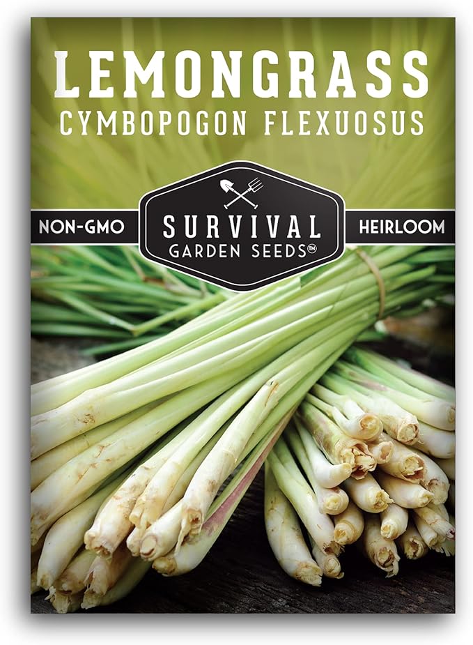 Lemongrass Seeds for Planting - Lemon Scented Asian Lemongrass for Your Home Vegetable Garden - Heirloom Non-GMO Open-Pollinated - Survival Garden Seeds (1 Pack)