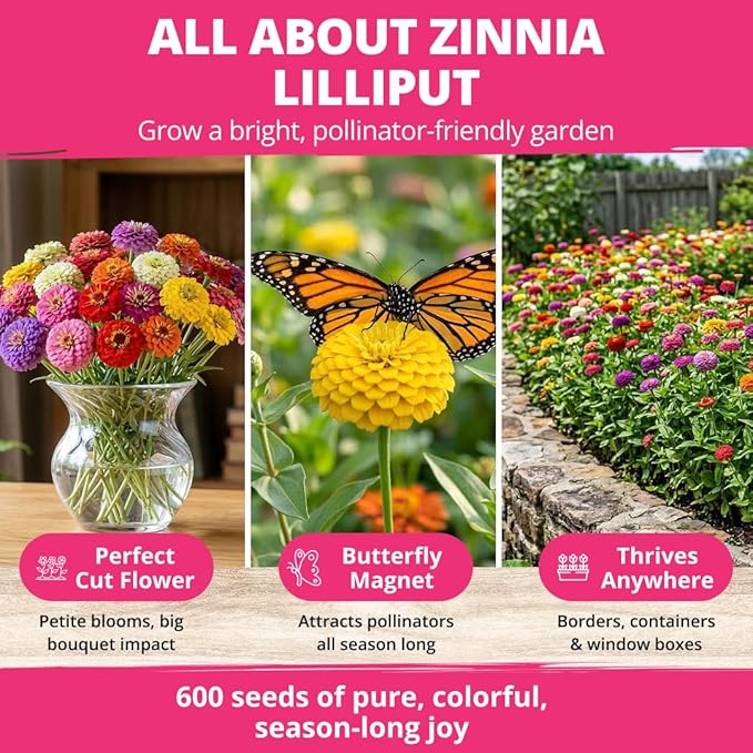 HOME GROWN Zinnia Lilliput Mix Flower Seeds – 600 Seeds (4g) Zinnia elegans – Colorful Zinnia Seed Mix for Planting Spring 2026 for Garden Beds, Containers & Cut Flowers, Easy Grow Zinnia Seeds