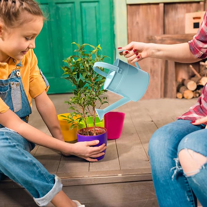 Small Metal Watering Can Set, Pink, 1.2L and 0.23L Garden Cans with Long Spout, Indoor Outdoor Plant Care (Green Blue)
