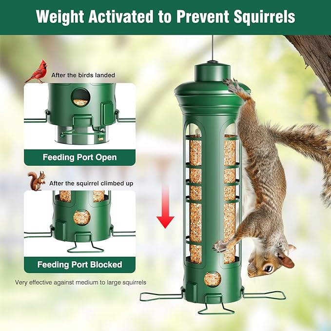 Squirrel Proof Bird Feeder for Outdoors Hanging, Removable Base, Easy to Clean, Weatherproof & Rustproof, Metal Tube Bird Feeder for Cardinals Finches Blue Jays, Gift for Mom, Dad