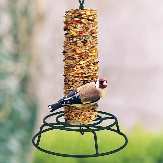 Honeydak 1 Pcs Cylinder Bird Feeder Outdoor Seed Holder for Large Small Cylinders Metal Suet Cake Feeder Backyard Wild Birds Feeding Bird Container for Outdoors Garden (Dark Green)