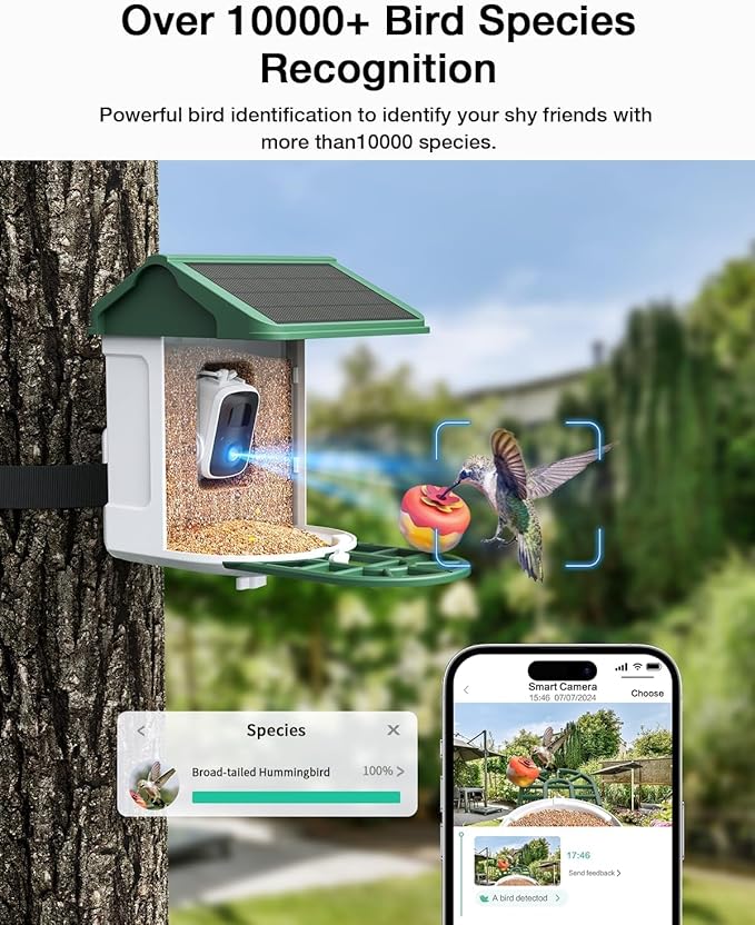 Bird Feeder with Camera Solar Powered-2K Live Feed, Smart AI Identify Birds, 2L Food Capacity, Auto Captured Bird Video, Real-time Arrived Alerts, Mini Hummingbird Feeder for Outdoor Backyard