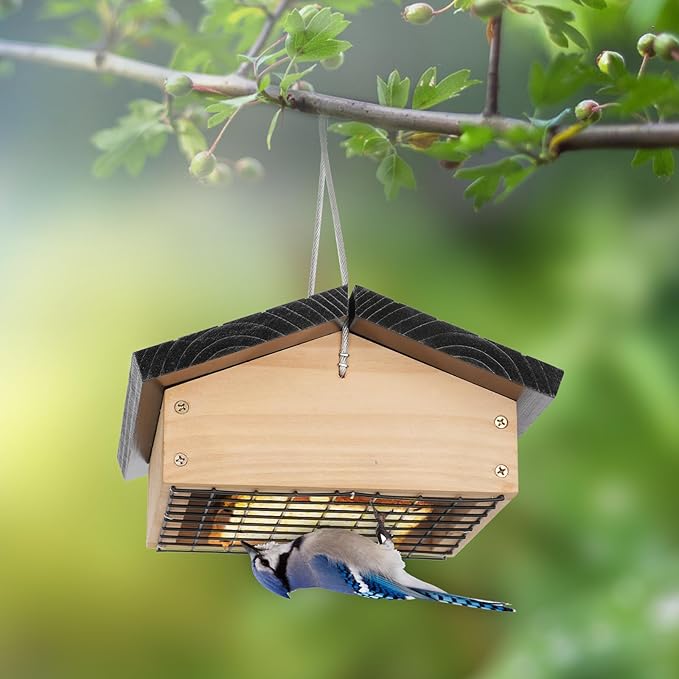 Upside-Down Suet Feeder Squirrel Proof with Durable Cedar Wood,Winter Bird Feeders for Outdoors Hanging, Attracts Woodpeckers, Nuthatches, and Chickadees, Easy to Refill