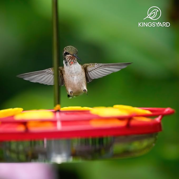 Kingsyard Weatherproof Hummingbird Feeder for Outdoors Hanging - Heavy Duty Metal lid with 6 Bee Guard Feeding Ports & Circular Perch, Built-in Ant Moat, Easy to Refill & Clean (12oz/Red)