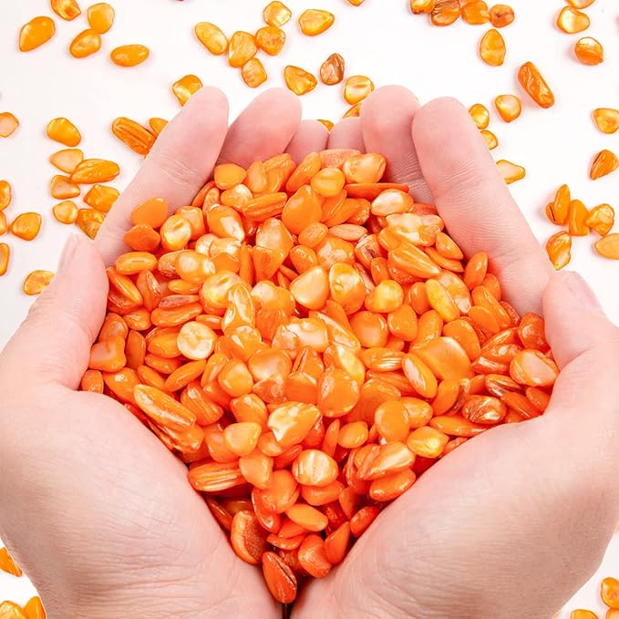 QICQDRAM Crushed Shells for Crafts About 1LB (405g/14.28oz) Small Natural Crushed Shells Bulk for Crafts DIY Beaching Wedding Decoration Vase Fillers (Orange)