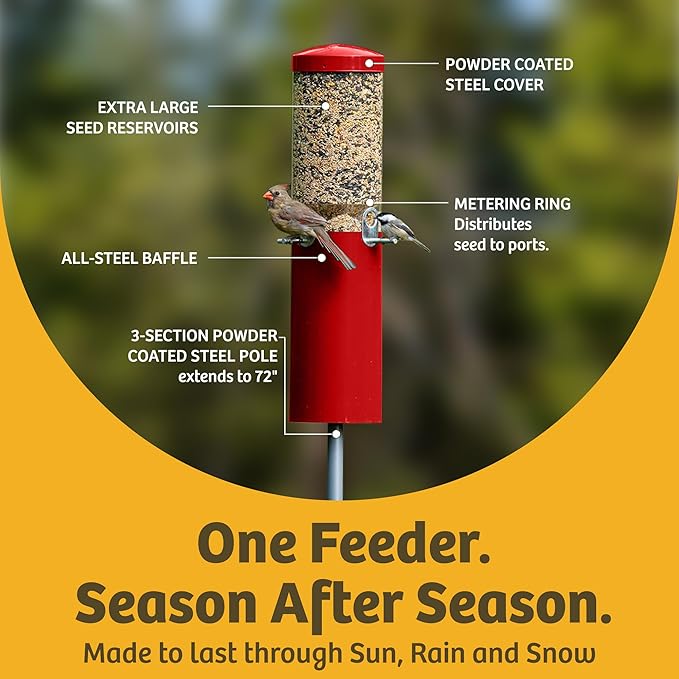Birds Choice Classic Squirrel Proof Bird Feeder with Pole Mount | Tube Bird Feeder for Cardinals, Chickadees, Woodpeckers | Sturdy Steel for Long-Lasting Use | Backyard Bird Seed Dispenser | Green
