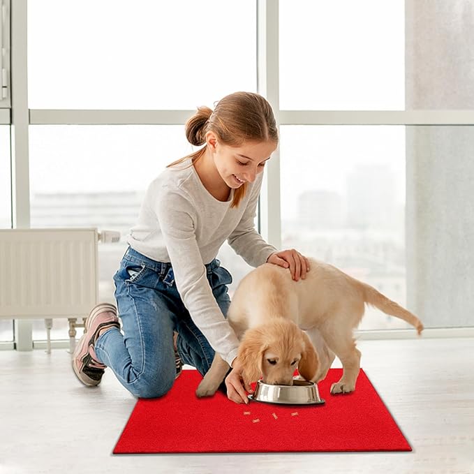 AAZZKANG Red Door Mat Set of 2 Non Slip Durable Multi-Purpose Outdoor Indoor Mats Ultra Absorb Mud Easy to Clean Entry Doormat for Inside,Outside,Patio,High Traffic Areas