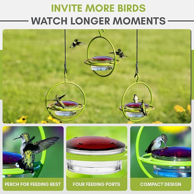 Hummingbird Feeder for Outdoors Hanging, 3.4 OZ Hummingbird Feeders, Glass Bowl with 4 Feeding Ports, Leak Proof Lid & Circular Perch, Bird Feeder (1, Lime)