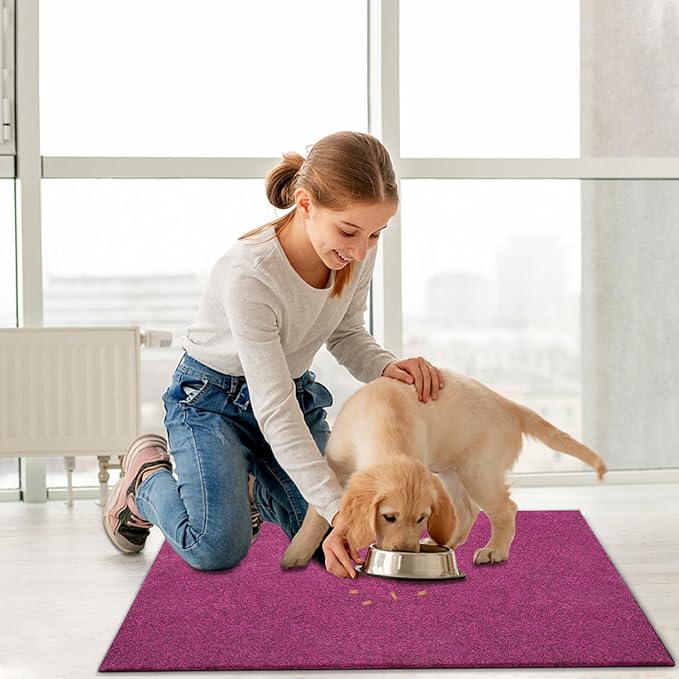 AAZZKANG Set of 2 Purple Doormat Large 36"x24" Outside Inside Utility Floor Mat Quickly Absorb Mud Anti Slip Rubber Door Mat for Home,Garden,High Traffic Areas Decorative