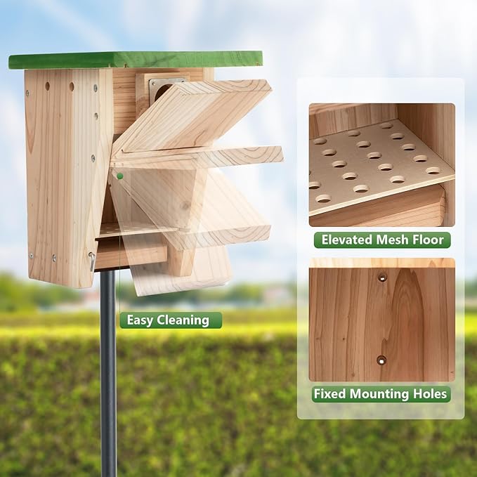 3/4 Inch Thick Cedar Bird House with Metal Predator Guard | Squirrel Proof Nesting Box for Easy Cleaning | Outdoor Wooden Bluebird House for Wild Bird Watching, Swallow, Wren, Chickadee