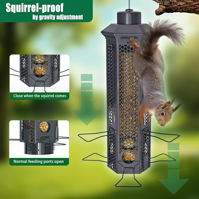 Squirrel Proof Bird Feeders, Bird Feeder for Outdoors with Removable Base, 6 Ports Perches Gravity Protection Squirrel Proof Wild Bird Feeders, 3LB Seed Capacity, Gray